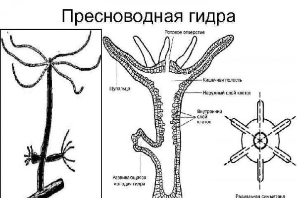 Ссылка омг омг в тор браузере